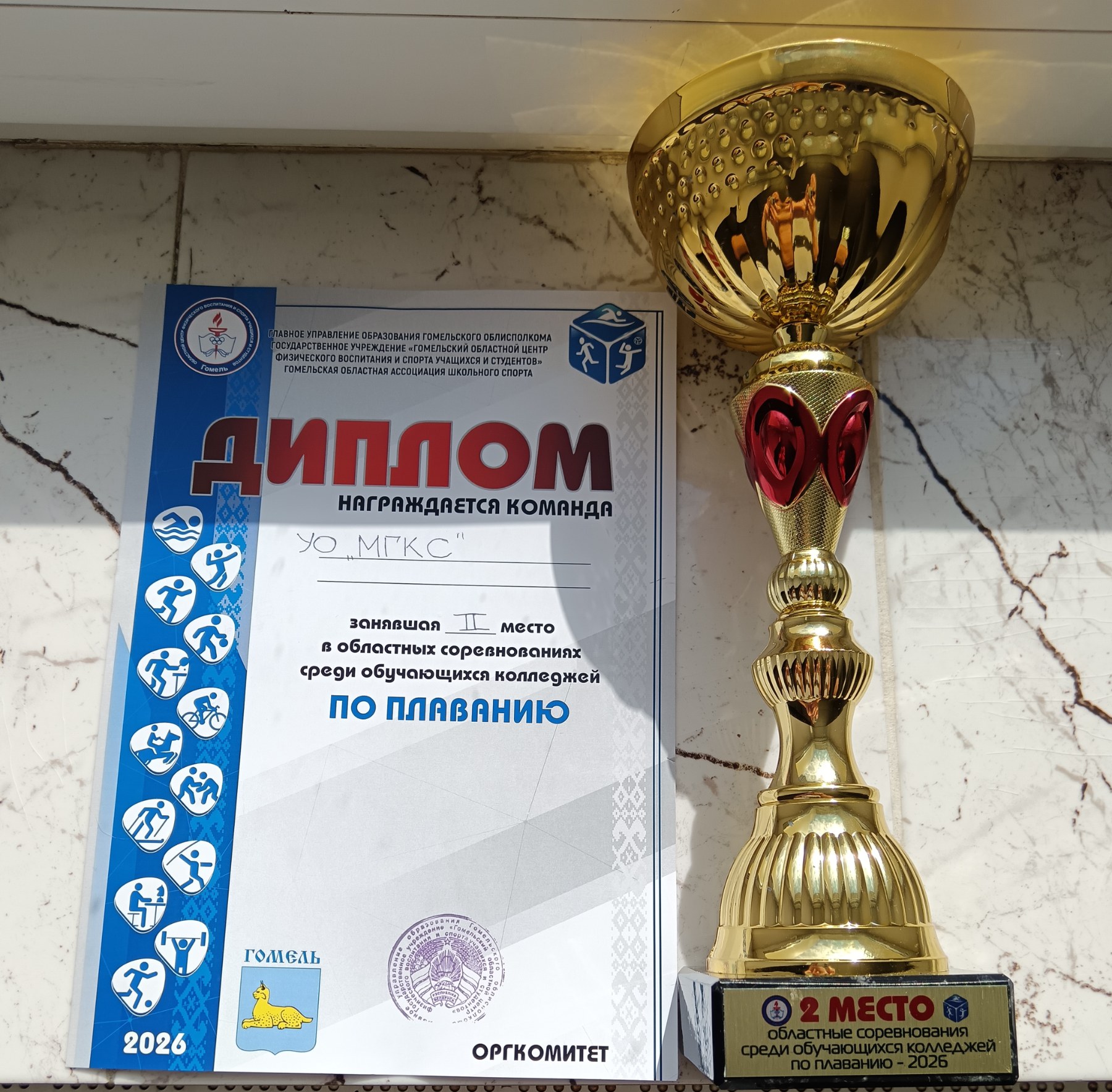 Областные соревнования по плаванию среди обучающихся колледжей