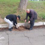 Областной субботник