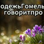 Областной проект «Молодежь Гомельщины говорит про…»